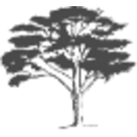 kikenni consulting ltd.