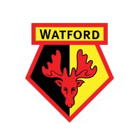 watford fc women limited