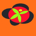 natures concepts limited