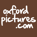 oxford pictures limited