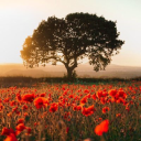 counselling matters ltd.