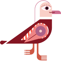 chaika events limited