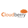 cloudberry technologies limited