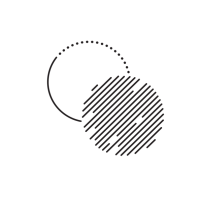 a transparent company ltd