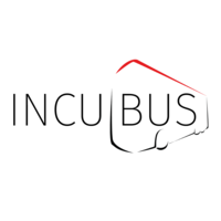 incubus ventures ltd