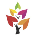 sarah faulkner limited