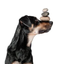 a-ha! distribution limited