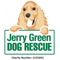 jerry green dog rescue