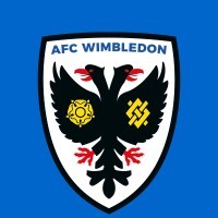 afc wimbledon foundation