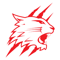 swindon wildcats hockey ltd