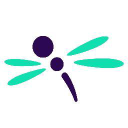 dragonfly healing limited