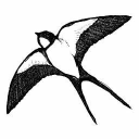 mrs. middleton limited