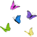 rose cottage day nursery limited