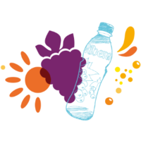 suntory beverage & food south africa limited