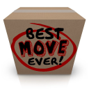dlm removals limited