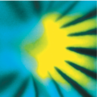 the new phytologist foundation