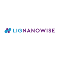 lig nanowise limited