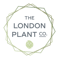 london plant limited