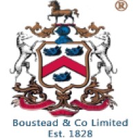 amber fusion limited