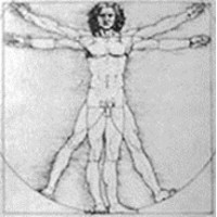 renaissance research uk ltd