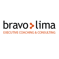 bravo lima ltd