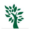 lowlands trading limited