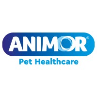 animor group limited