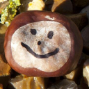 conker marketing limited