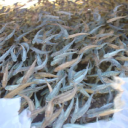 torre trout farms limited