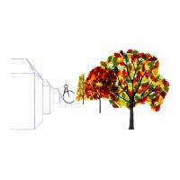 arbor cultural limited