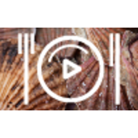 touchfood productions limited