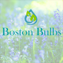 boston bulbs wholesale limited
