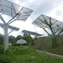 sunpower solar limited