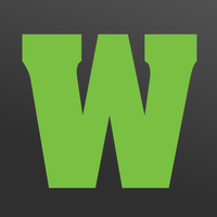 wiseguys protection ltd