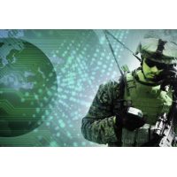 shoreman international limited