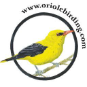 oriole birding limited