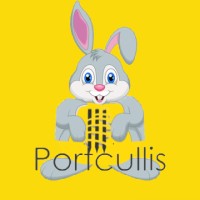 pgl realisations limited