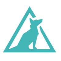 dogtooth technologies limited