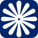 ideal window cleaning limited