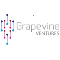 grapevine ventures ltd