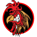 deliciously squared ltd