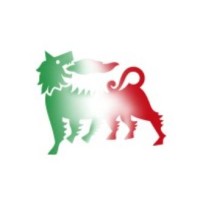 eni mozambique engineering limited