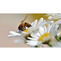 back to nature skincare limited