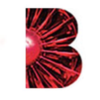 brunel air cargo services limited