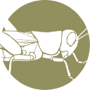 change alley limited