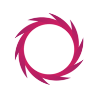 opulent investments ltd