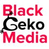 black geko media ltd
