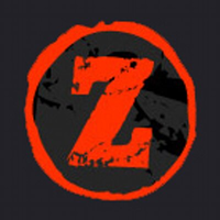 z management limited