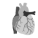 heartventure limited