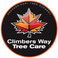 climbers way tree care limited